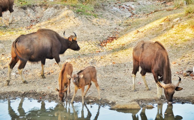 ©GIZ/Vimarsh Sharma 